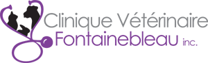 Clinique Vétérinaire Blainville Logo